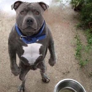 Meet your Posher, Price